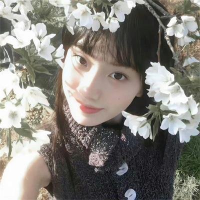 战国妖姬